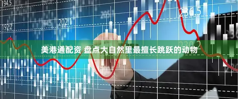 美港通配资 盘点大自然里最擅长跳跃的动物